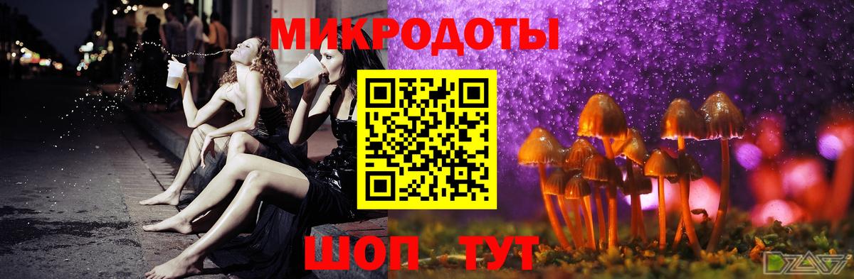 Галлюциногенные грибы MAGIC MUSHROOMS Пушкино