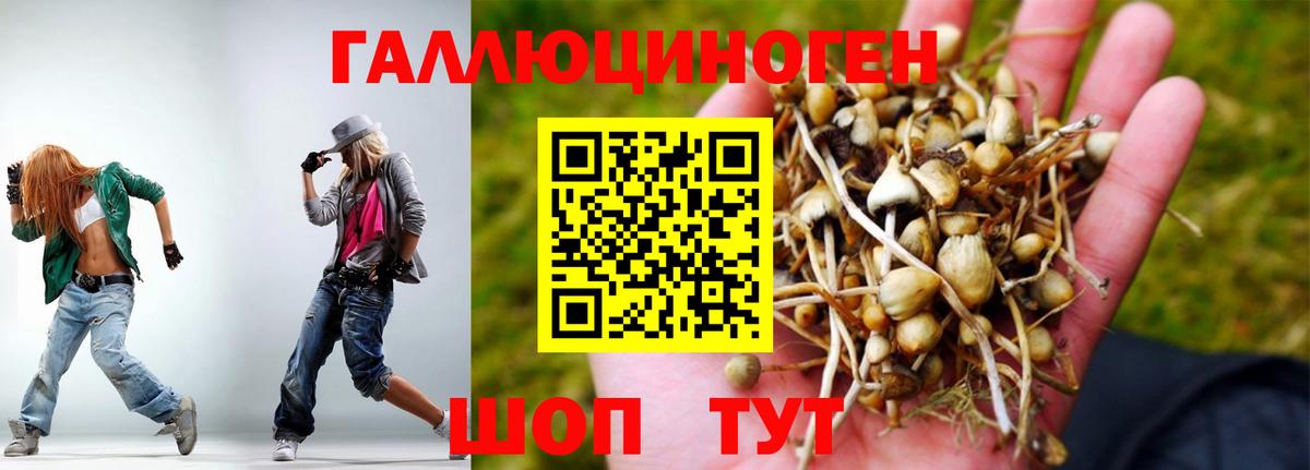 Пушкино  Псилоцибиновые грибы GOLDEN TEACHER  Вход с VPN 